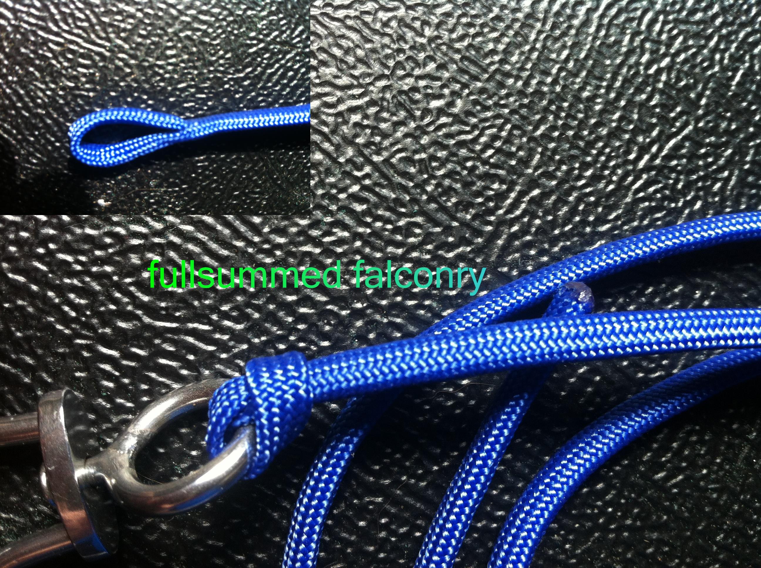 Falconry Loop Leash image 0