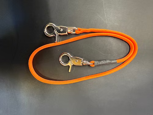 Double safety clip