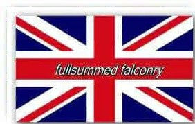 British Bells-FULLSUMMED FALCONRY