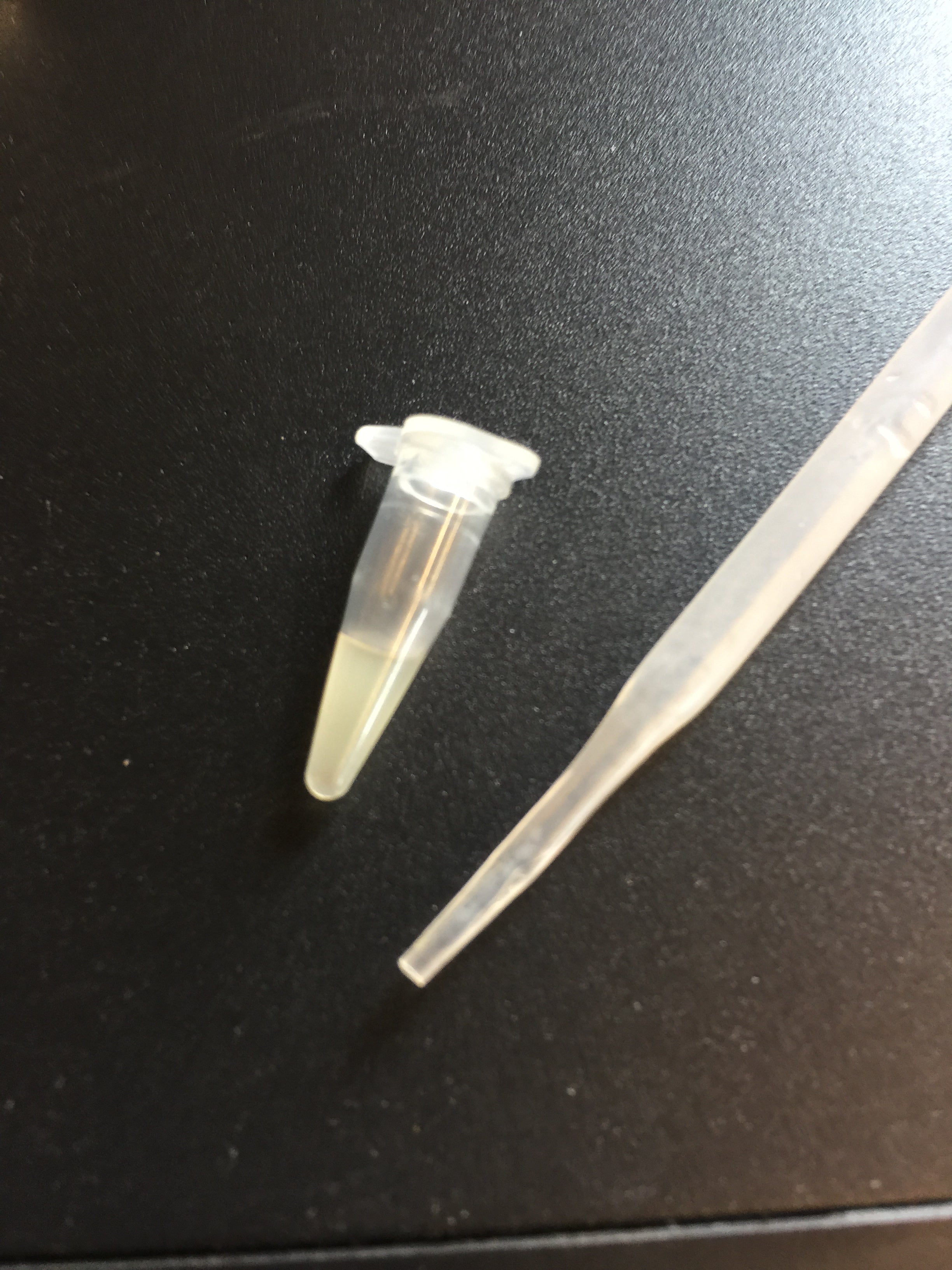 PCR TUBES 0.2ML image 0