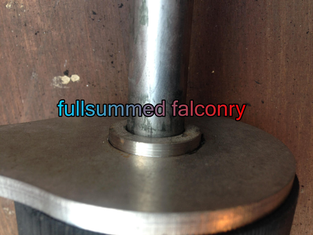 Perch Washers image 2