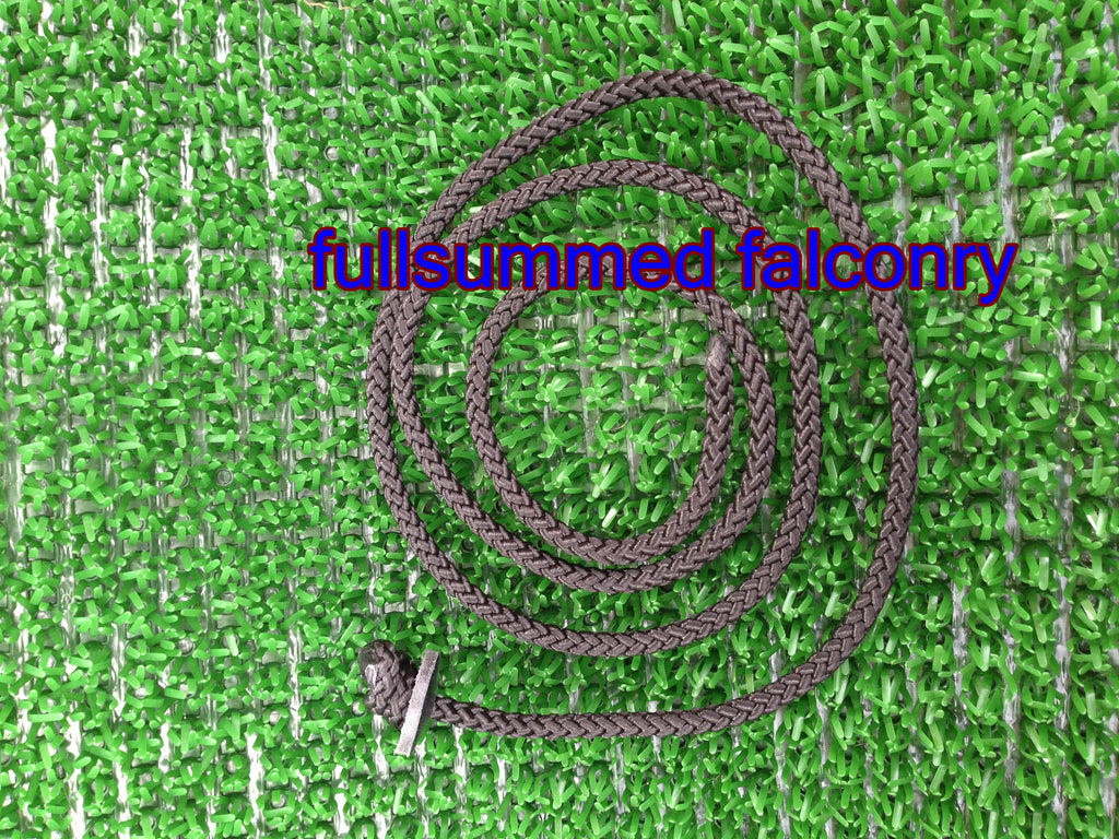 Falconry Leash image 1