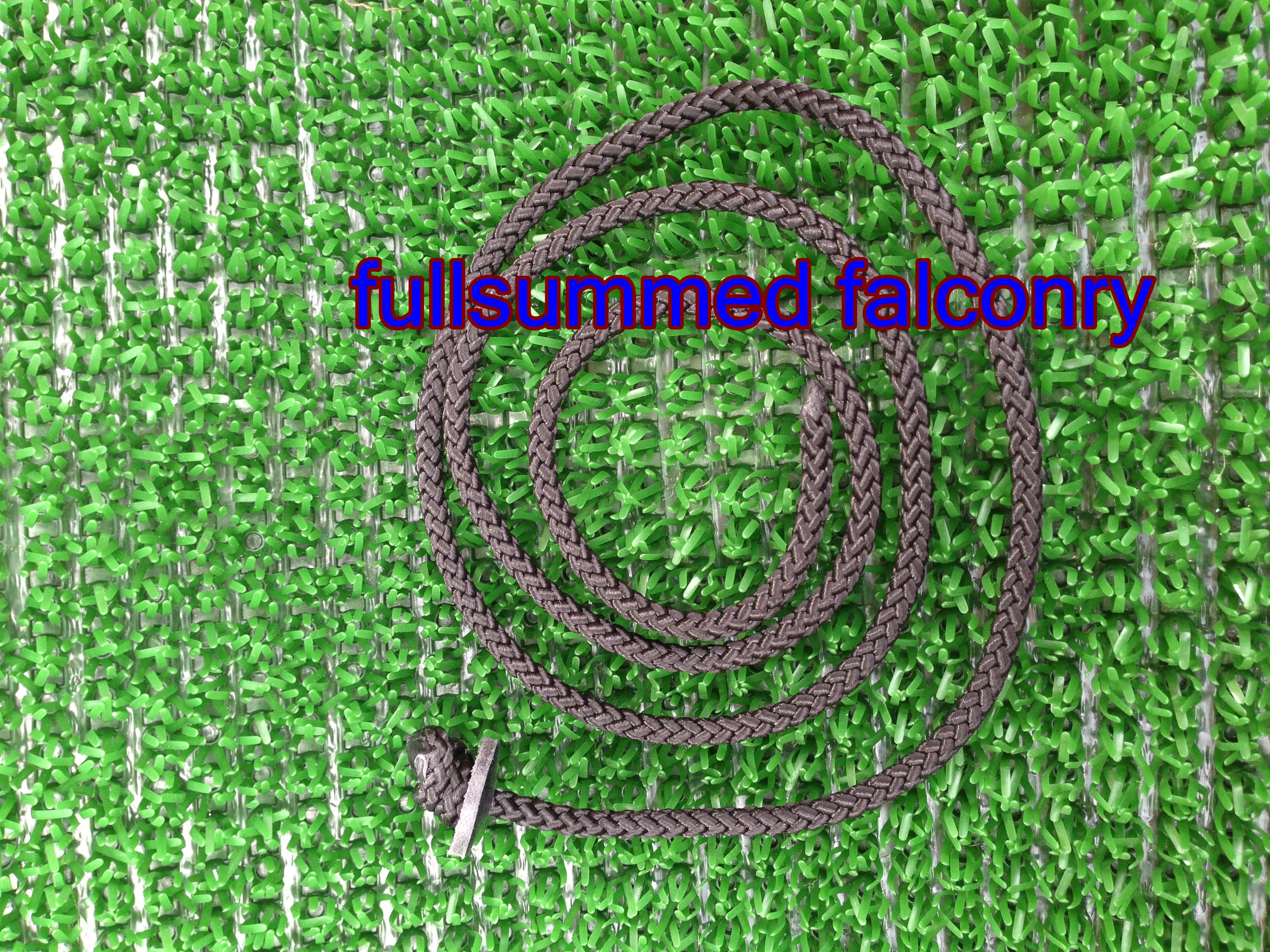Falconry Leash image 1