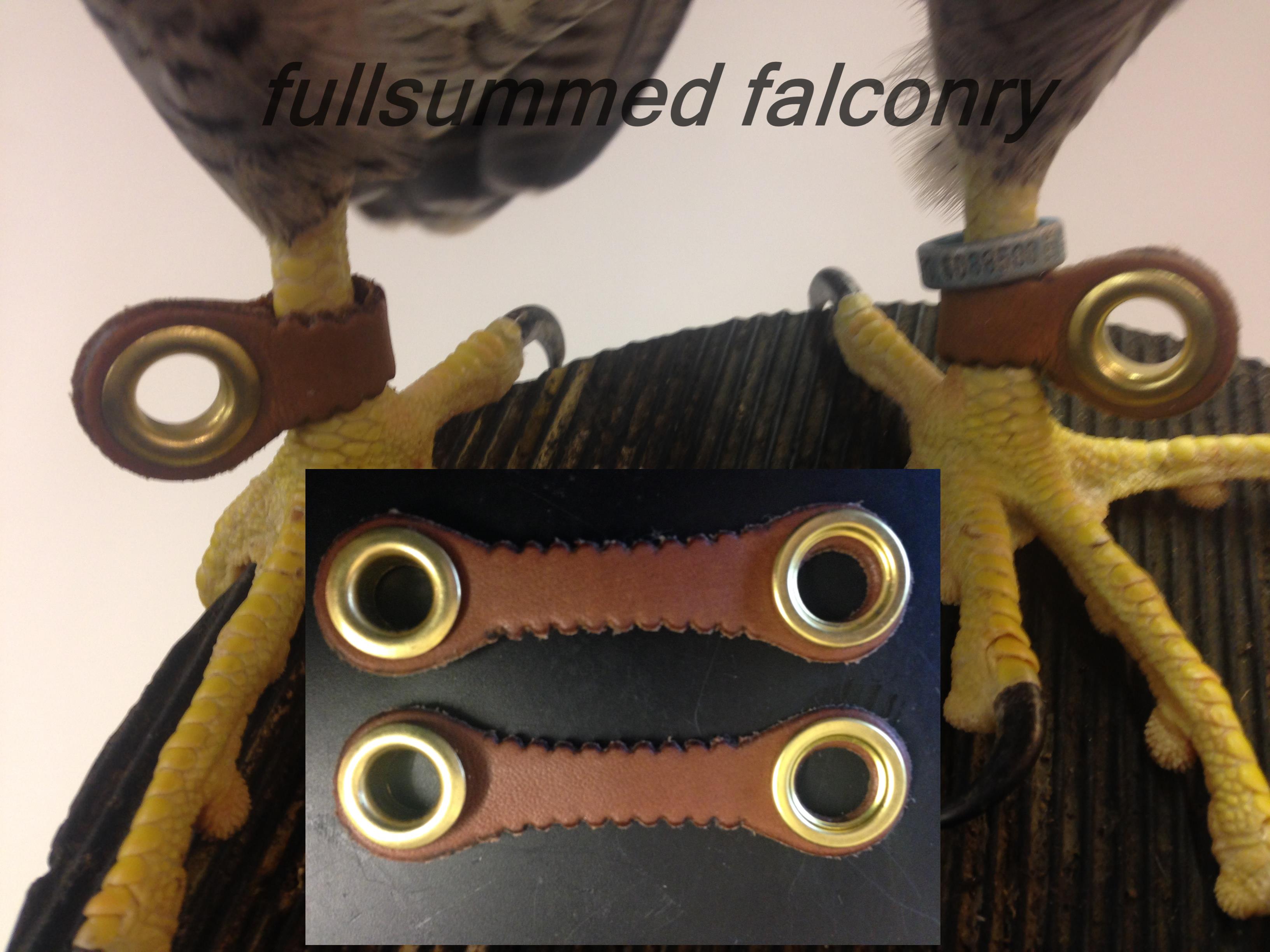 Falcon Anklets image 0