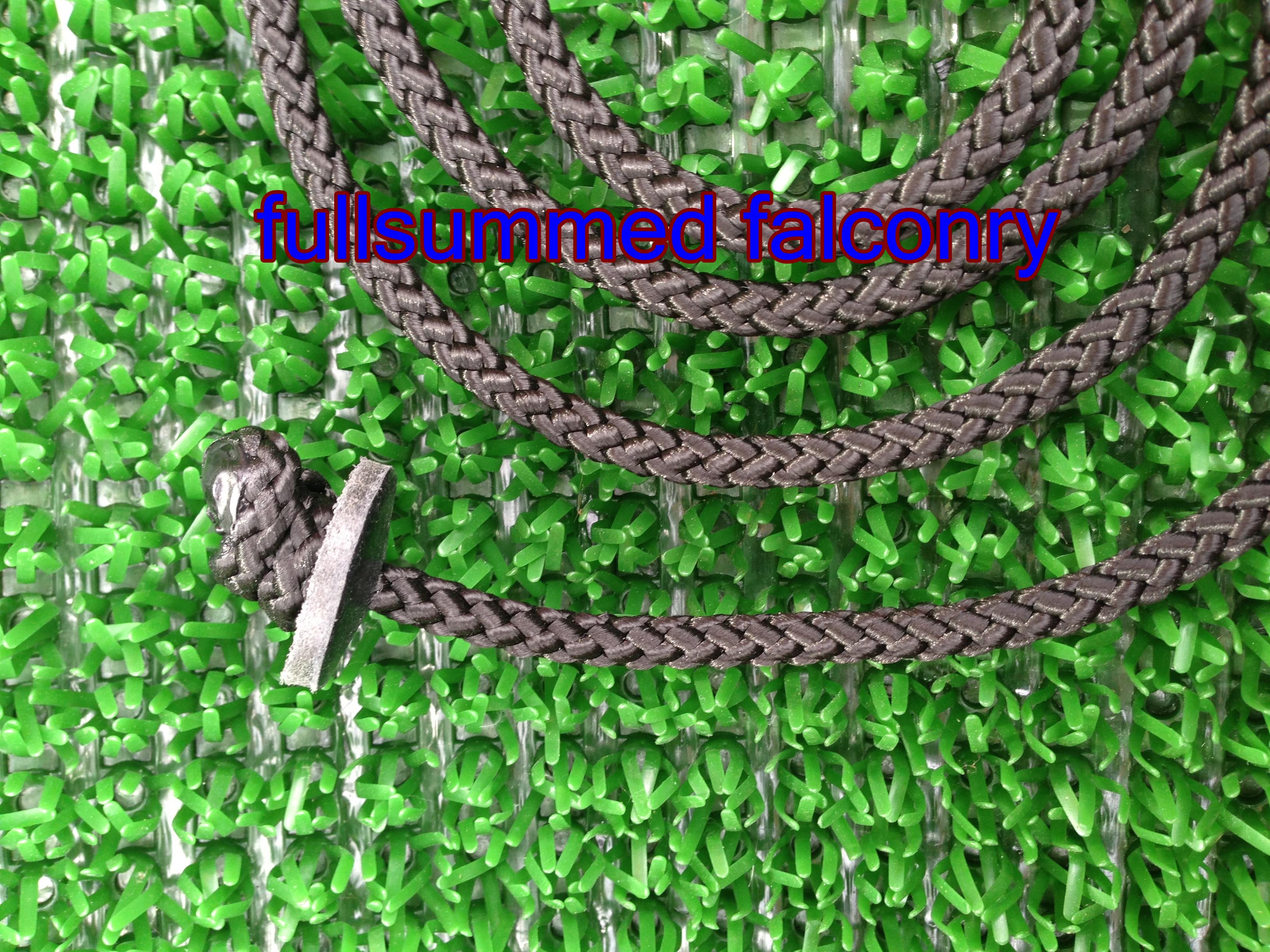Falconry Leash image 0