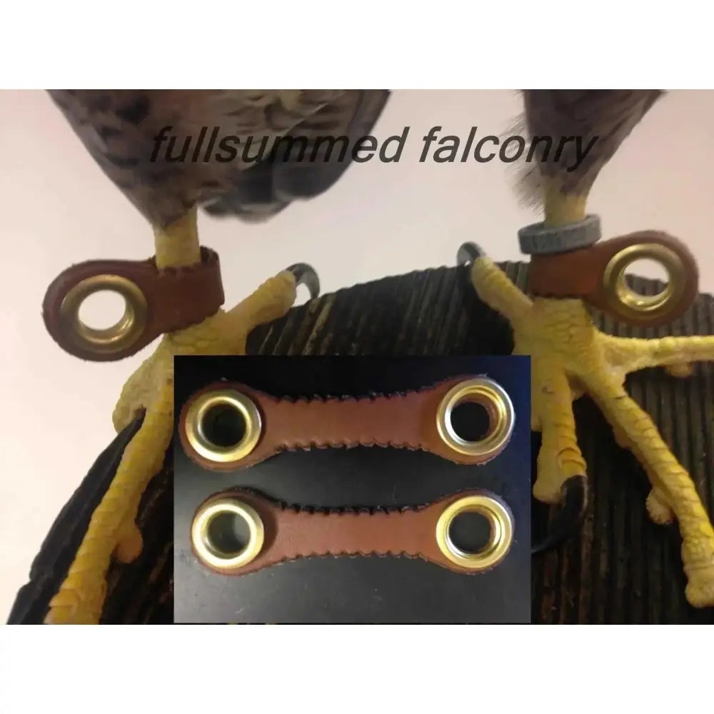 Falconry Falcon Anklets for Birds – Precision-Made Set