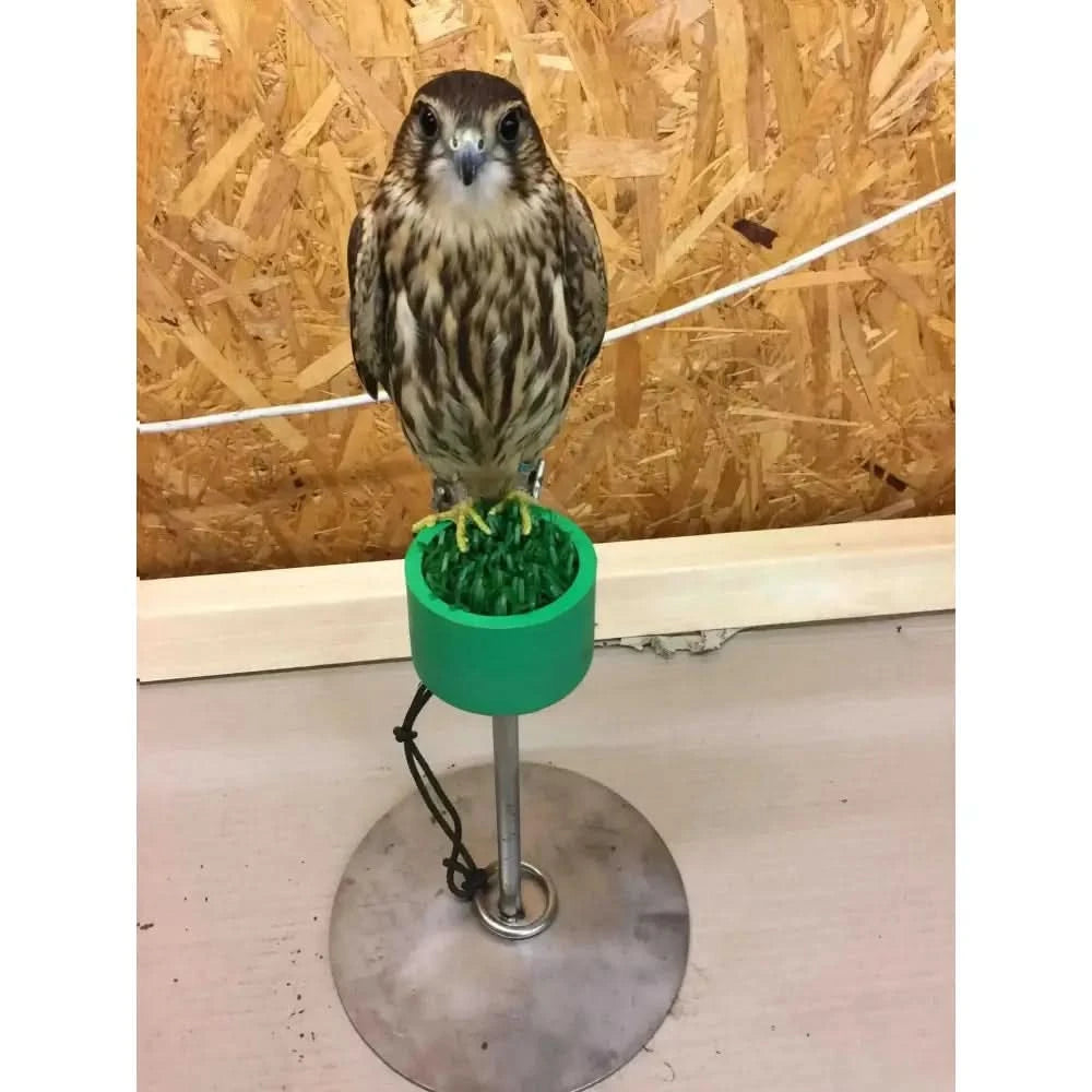 Nylon Falconry Blocks for Everyday Handling