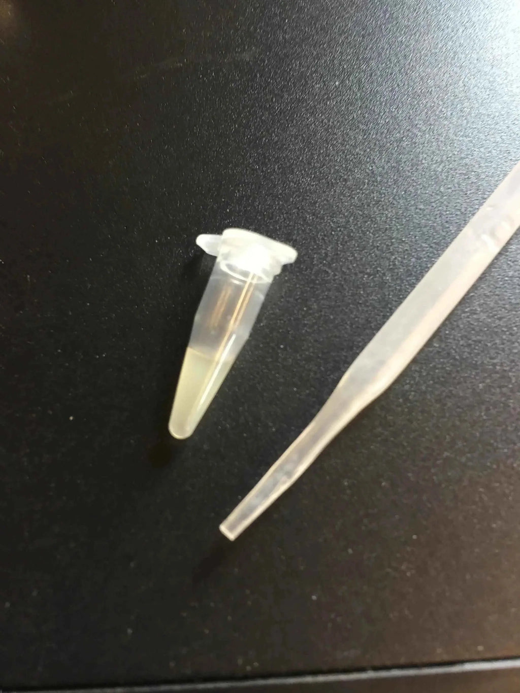 PCR TUBES 0.2ML-FULLSUMMED FALCONRY