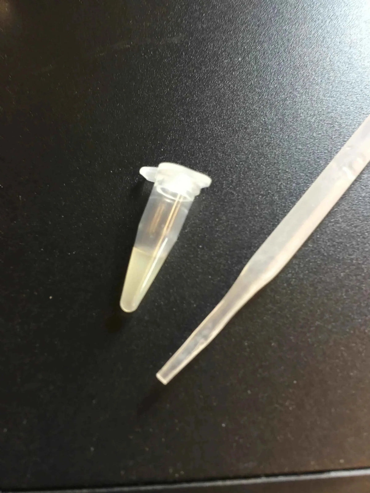 PCR TUBES 0.2ML-FULLSUMMED FALCONRY