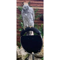 Rotating Ring Perch – Perches FULLSUMMED FALCONRY
