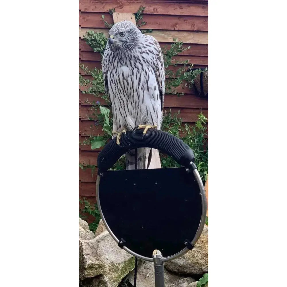 Rotating Ring Perch – Perches FULLSUMMED FALCONRY